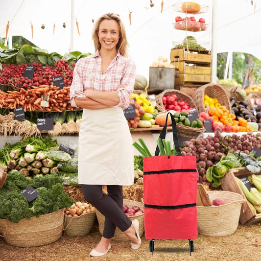 Sac de Courses Pliable 2-en-1 avec Roulettes